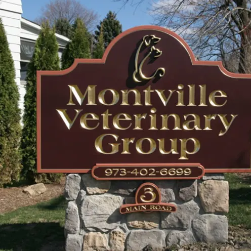 Montville Veterinary Group Sign